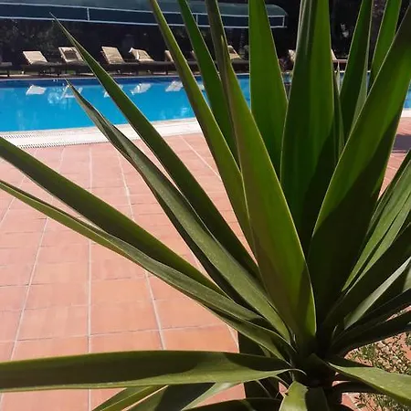 Otel Rebin 3*