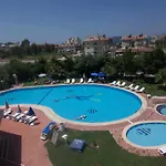 Rebin פאטהיה